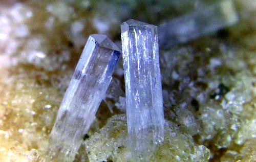 Natrolita<br />Rambla de Los Lobos, Alamedilla, Comarca Los Montes, Granada, Andalucía, España<br />Cristales de 3 mm.<br /> (Autor: Antonio P. López)