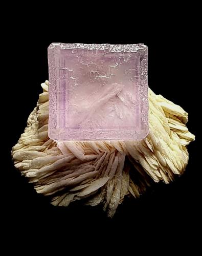 Fluorita<br />La Cabaña, Valdelmar, zona minera de Berbes, Berbes, Ribadesella, Comarca Oriente, Principado de Asturias (Asturias), España<br />6,5x5,5x5 cm.<br /> (Autor: Nacho)