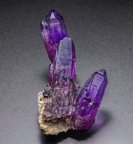 Quartz (variety amethyst)<br />La Sorpresa Mine, Amatitlán, Municipio Eduardo Neri, Guerrero, Mexico<br />8.4 x 4.5 cm<br /> (Author: am mizunaka)