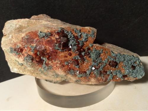 Grossular (variety hessonite), Clinochlore<br />Carboneri, Villar Pellice, Provincia Ciudad metropolitana de Turín, Piamonte (Piemonte), Italia<br />100 x 47 mm<br /> (Author: Sante Celiberti)