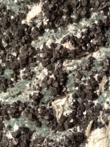 Magnetite, Asbestos<br />Malenco Valley (Valmalenco), Sondrio Province, Lombardy, Italy<br />92 x 42 mm<br /> (Author: Sante Celiberti)