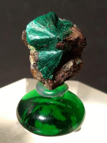 Malachite<br />Lemie, Metropolitan City of Turin Province, Piedmont (Piemonte), Italy<br />19 x 16 mm<br /> (Author: Sante Celiberti)