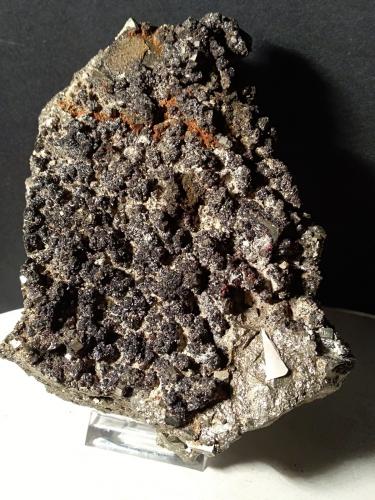 Rejalgar, Esfalerita, Pirita<br />Gavorrano Mine, Gavorrano, Grosseto Province, Tuscany, Italy<br />134 x 97 mm<br /> (Autor: Sante Celiberti)