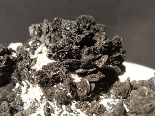 Pirrotita<br />Gavorrano Mine, Gavorrano, Grosseto Province, Tuscany, Italy<br />50 x 38 mm<br /> (Autor: Sante Celiberti)