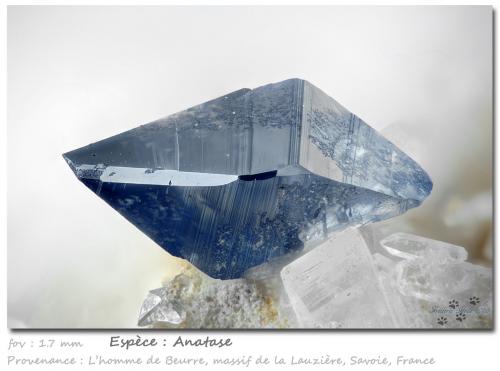 Anatase<br />L'Homme de Beurre, Macizo La Lauzière, Saint-Jean-de-Maurienne, Saboya, Auvergne-Rhône-Alpes, Francia<br />fov 1.7 mm<br /> (Author: ploum)