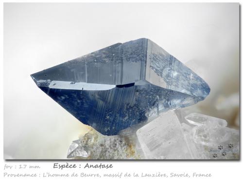 Anatase<br />L'Homme de Beurre, La Lauzière Massif, Saint-Jean-de-Maurienne, Savoie, Auvergne-Rhône-Alpes, France<br />fov 1.7 mm<br /> (Author: ploum)