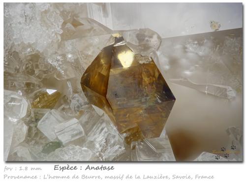 Anatase<br />L'Homme de Beurre, Macizo La Lauzière, Saint-Jean-de-Maurienne, Saboya, Auvergne-Rhône-Alpes, Francia<br />fov 1.8 mm<br /> (Author: ploum)