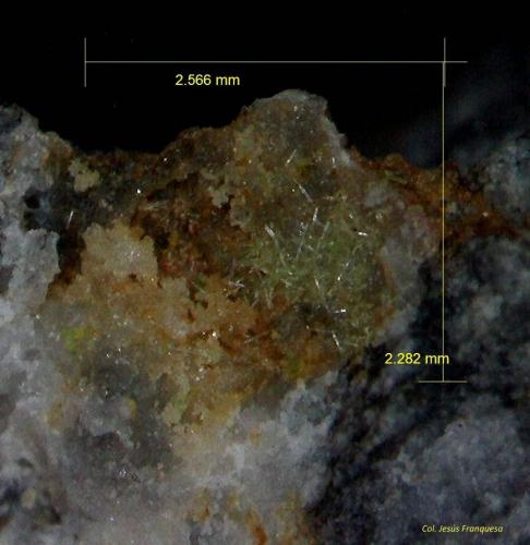 Piromorfita.<br />Minas Can Magre, Vidreres, Comarca La Selva, Gerona / Girona, Cataluña / Catalunya, España<br />2´566x2´282 mm.<br /> (Autor: Jesus Franquesa Baucells)