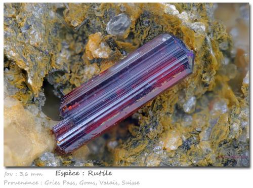 Rutile<br />Felskinn, Fee Glacier, Saas Fee, Saas Valley, Zermatt - Saas Fee, Wallis (Valais), Switzerland<br />fov 3.6 mm<br /> (Author: ploum)