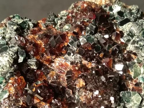 Grossular (variety hessonite), Clinochlore<br />Faiallo Pass, Urbe, Savona Province, Liguria, Italy<br />102 x 74 mm<br /> (Author: Sante Celiberti)