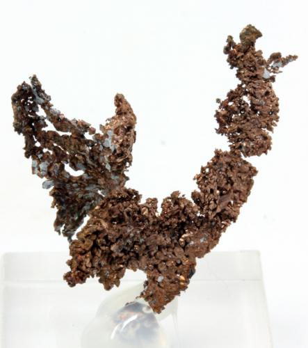 Cobre<br />Salomón Cut, Rio Tinto Mines, Minas de Riotinto, Comarca Cuenca Minera, Huelva, Andalusia, Spain<br />2,9 x 1,7 cm.<br /> (Autor: Carles)