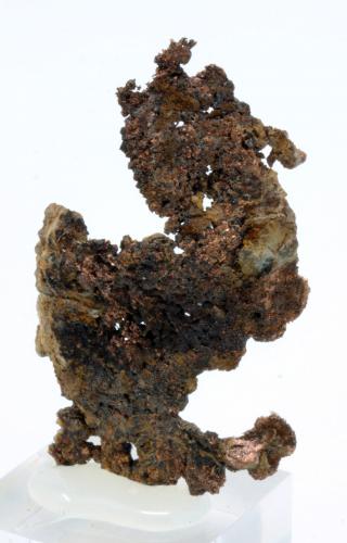 Cobre<br />Santa Bárbara cut, Herrerías Mines, Puebla de Guzmán, Comarca El Andévalo, Huelva, Andalusia, Spain<br />5,6 x 3,0 cm.<br /> (Autor: Carles)