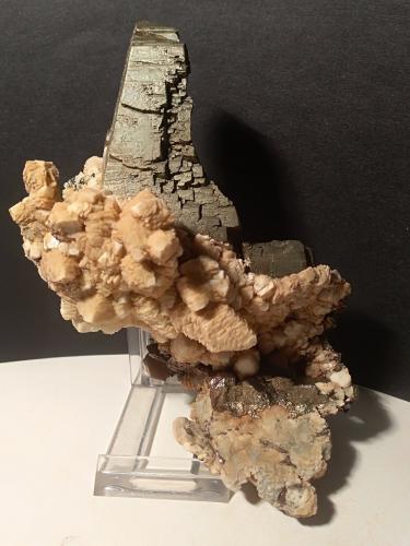 Pirita, Dolomita (pseudomórfica de calcita)<br />Mina Gavorrano, Gavorrano, Provincia Grosseto, Toscana, Italia<br />140 x 103 mm<br /> (Autor: Sante Celiberti)