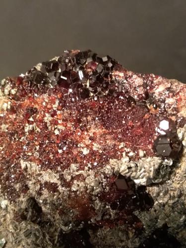 Grossular (variety hessonite), Clinochlore<br />Mussa Alp, Balme, Val d'Ala, Lanzo Valleys (Valli di Lanzo), Metropolitan City of Turin Province, Piedmont (Piemonte), Italy<br />101 x 65 mm<br /> (Author: Sante Celiberti)