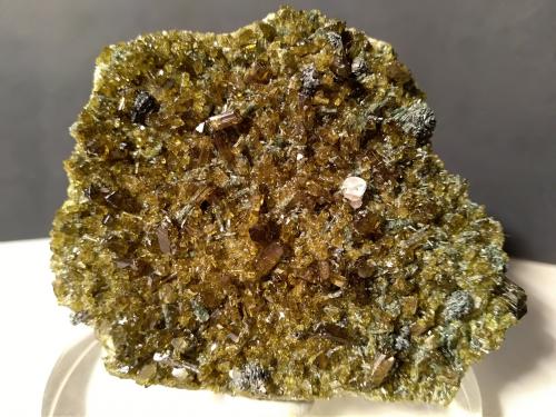 Epidote, Diopside, 'Apatite', Clinochlore<br />Valle Antrona, Valle Ossola, Verbania, Provincia Verbano-Cusio-Ossola, Piamonte (Piemonte), Italia<br />57 x 48 mm<br /> (Author: Sante Celiberti)