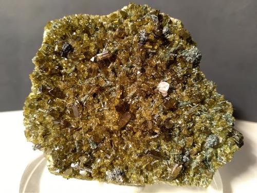 Epidote, Diopside, 'Apatite', Clinochlore<br />Antrona Valley, Ossola Valley, Verbania, Verbano-Cusio-Ossola Province, Piedmont (Piemonte), Italy<br />57 x 48 mm<br /> (Author: Sante Celiberti)