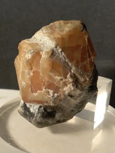 Scheelite<br />Mina Traversella, Traversella, Valle Chiusella, Distrito Canavese, Provincia Ciudad metropolitana de Turín, Piamonte (Piemonte), Italia<br />49 x 39 mm<br /> (Author: Sante Celiberti)