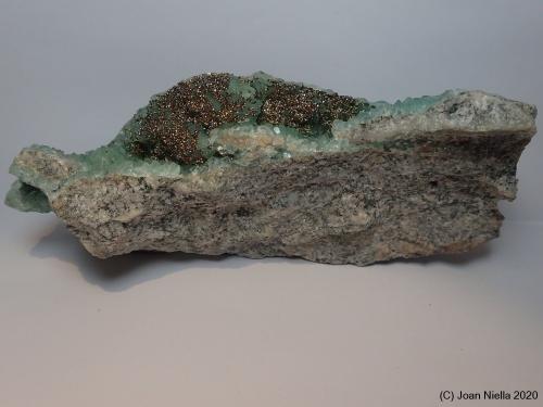 Pirita<br />Pedrera Berta, Turó de Can Domènech, Serra de Roques Blanques, Sant Cugat del Vallès-El Papiol, Comarca Vallès Occidental / Baix Llobregat, Barcelona, Cataluña / Catalunya, España<br />13 x 4 cm<br /> (Autor: Joan Niella)