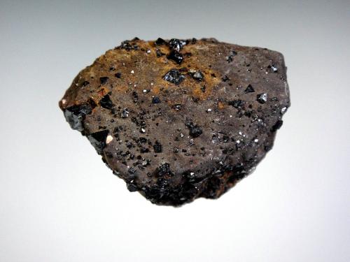 Magnetita<br />Cabezo Gordo, Torre-Pacheco, Comarca Campo de Cartagena, Región de Murcia (Murcia), España<br />4 x 3 cm.<br /> (Autor: Antonio P. López)