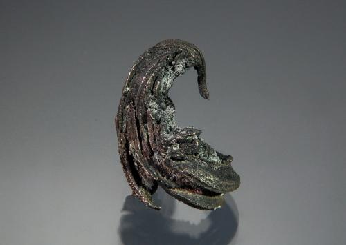 Silver<br />Porco, Antonio Quijarro Province, Potosí Department, Bolivia<br />1.5 x 2.3 cm<br /> (Author: Michael Shaw)