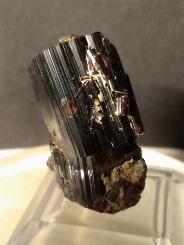 Vesuvianite<br />Punta Cristalliera, Roure, Metropolitan City of Turin Province, Piedmont (Piemonte), Italy<br />32 x 21 mm<br /> (Author: Sante Celiberti)