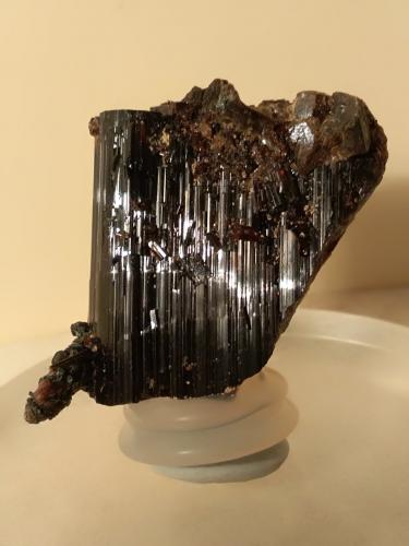 Vesuvianite<br />Punta Cristalliera, Roure, Provincia Ciudad metropolitana de Turín, Piamonte (Piemonte), Italia<br />31 x 36 mm<br /> (Author: Sante Celiberti)