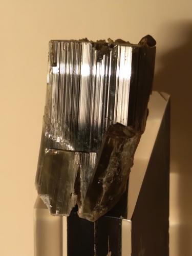 Vesuvianite<br />Bellecombe, Châtillon, Valle de Aosta (Val d'Aosta), Italia<br />27 x 16 mm<br /> (Author: Sante Celiberti)