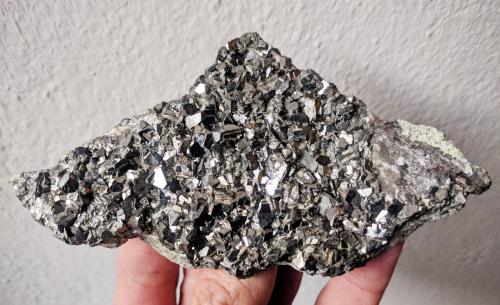 Arsenopirita<br />El Valle-Boinás Mines, El Valle, Begega, Belmonte de Miranda, Comarca Oviedo, Principality of Asturias (Asturias), Spain<br />12,7 x 6,5 cm.<br /> (Autor: Carles)