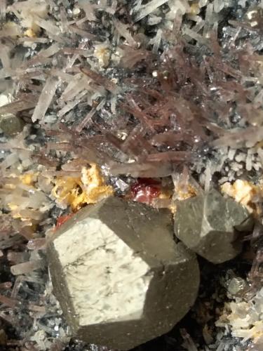 Pyrite, Quartz (variety amethyst)<br />Brosso Mine, Salvere level, Cálea, Léssolo, Canavese District, Metropolitan City of Turin Province, Piedmont (Piemonte), Italy<br />310 x 120 mm<br /> (Author: Sante Celiberti)