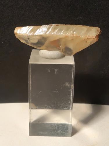 Titanite<br />Gava Valley, Genova Province, Liguria, Italy<br />33 x 12 mm<br /> (Author: Sante Celiberti)