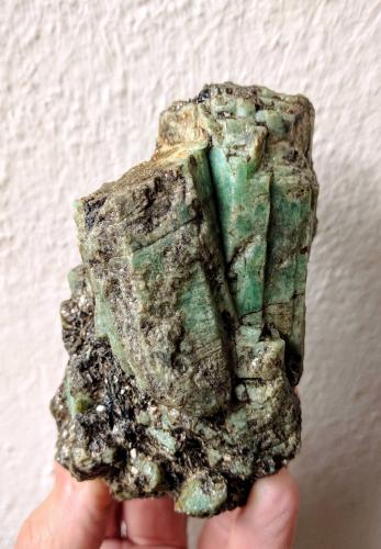 Berilo (variedad esmeralda), Flogopita<br />Emerald Deposit, A Franqueira, A Cañiza, Comarca Paradanta, Pontevedra, Galicia / Galiza, Spain<br />6,0 x 9,3 cm.<br /> (Autor: Carles)