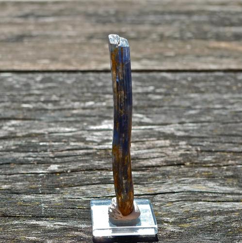 Cianita<br />Daha, Jajarkot District, Karnali Pradesh, Nepal<br />7 x 2 x 0,7 cm<br /> (Autor: Josele)