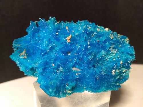 Calcantita<br />Fenice Capanne Mine, Massa Marittima, Grosseto Province, Tuscany, Italy<br />58 x 39 mm<br /> (Autor: Sante Celiberti)