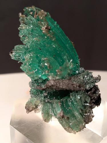 Calcantita<br />Le Cetine di Cotorniano Mine (Le Cetine Mine), Chiusdino, Siena Province, Tuscany, Italy<br />48 x 29 mm<br /> (Autor: Sante Celiberti)