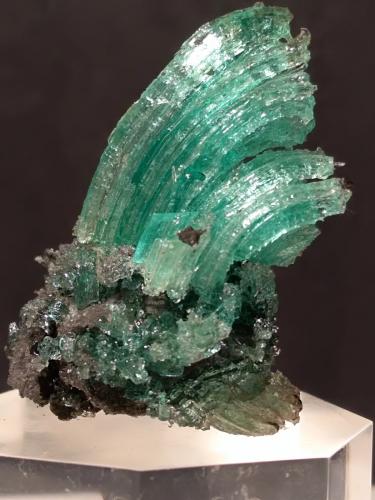 Calcantita<br />Le Cetine di Cotorniano Mine (Le Cetine Mine), Chiusdino, Siena Province, Tuscany, Italy<br />48 x 29 mm<br /> (Autor: Sante Celiberti)
