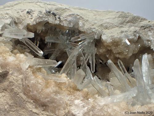 Celestina<br />Yacimiento de Celestinas, Torà, Comarca Solsonès, Lérida / Lleida, Cataluña / Catalunya, España<br />6 x 4 cm<br /> (Autor: Joan Niella)