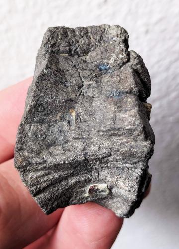 Arsenopirita<br />Valdemanco, Comarca Sierra de Guadarrama, Comunidad de Madrid, España<br />3,0 x 4,5 cm.<br /> (Autor: Carles)