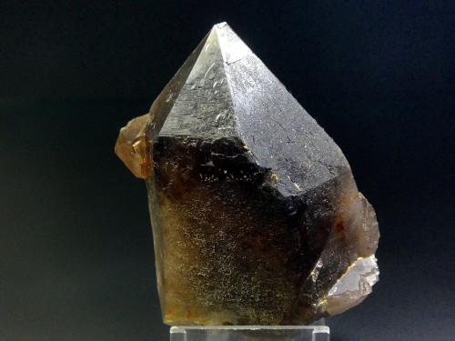 Cuarzo (variedad ahumado)<br />Monte Xiabre, Vilagarcía de Arousa, Comarca O Salnés, Pontevedra, Galicia / Galiza, España<br />8 x 6 cm.<br /> (Autor: Antonio P. López)
