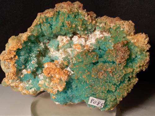 Calcantita, Pickeringita, Botryogenita<br />Fenice Capanne Mine, Massa Marittima, Grosseto Province, Tuscany, Italy<br />102 x 75 mm<br /> (Autor: Sante Celiberti)