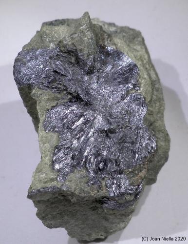 Molibdenita<br />Pedrera Xauxa (Pedrera Aymar), Turó de Xauxa / Sot de les Pedreres, Gualba, Comarca Vallès Oriental, Barcelona, Cataluña / Catalunya, España<br />45 x 60 mm<br /> (Autor: Joan Niella)