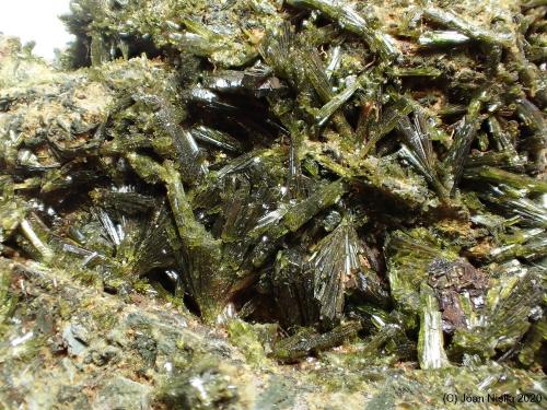 Epidota<br />Barranc de les Collades, Pantà d'Escales, Casterner de les Olles, Tremp, Comarca Pallars Jussà, Lérida / Lleida, Cataluña / Catalunya, España<br />6 x 4 cm<br /> (Autor: Joan Niella)
