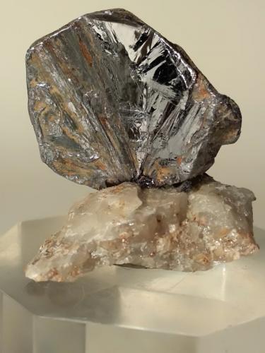 Molibdenita<br />Perda de Pibera Mine, Gonnosfanadiga, Sud Sardegna Province, Sardinia/Sardegna, Italy<br />31 x 30 mm<br /> (Autor: Sante Celiberti)