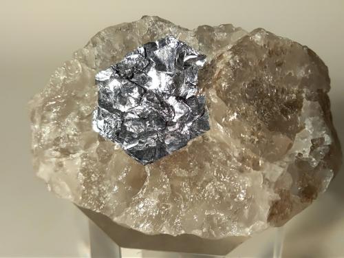 Molibdenita<br />Moly Hill Mine, La Motte, Abitibi RCM, Abitibi-Témiscamingue, Québec, Canada<br />56 x 39 mm<br /> (Autor: Sante Celiberti)