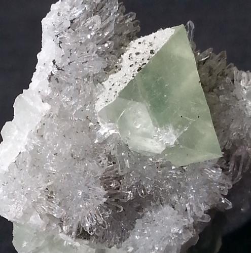 Fluorite with Quartz and Pyrite<br />Baimashan tunnel (construction site), Qianbaxia, Wuyishan, Nanping Prefecture, Fujian Province, China<br />4 x 4 cm<br /> (Author: Volkmar Stingl)