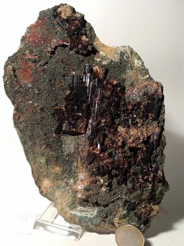 Vesuvianite, Grossular (variety hessonite), Clinochlore<br />Bellecombe, Châtillon, Valle de Aosta (Val d'Aosta), Italia<br />210 x 135 mm<br /> (Author: Sante Celiberti)