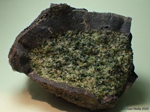 Olivino (Grupo)<br />Volcán del Puig de la Banya del Boc, Llorà, Sant Martí de Llémena, Comarca Gironès, Gerona / Girona, Cataluña / Catalunya, España<br />6 x 5 cm<br /> (Autor: Joan Niella)