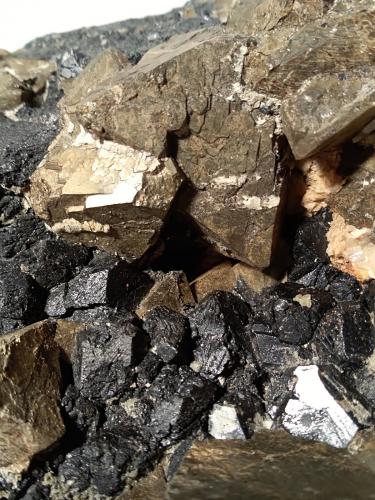 Pyrite, Magnetite<br />Brosso Mine, Cálea, Léssolo, Canavese District, Metropolitan City of Turin Province, Piedmont (Piemonte), Italy<br />240 x 140 mm<br /> (Author: Sante Celiberti)