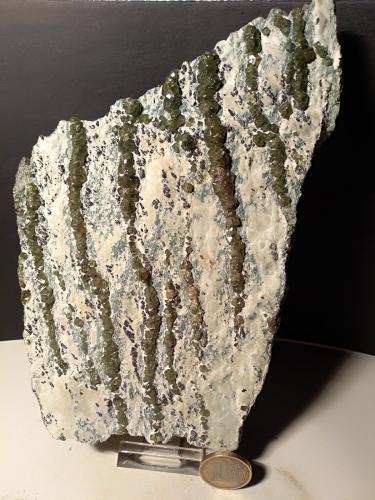 Andradite (variety demantoid), asbestos<br />Valmalenco, Provincia Sondrio, Lombardía, Italia<br />200 x 132 mm<br /> (Author: Sante Celiberti)