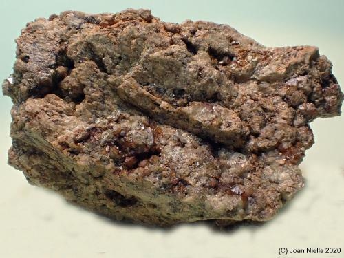 Andradita (Grupo Granate)<br />Mines de Can Montsant, Can Montsant (Massís del Montnegre), Hortsavinyà, Tordera, Comarca Maresme, Barcelona, Cataluña / Catalunya, España<br />7 x 5 cm<br /> (Autor: Joan Niella)