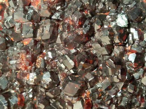 Grossular (variety hessonite), Clinochlore<br />Alpe delle Frasse, Condove, Val di Susa, Provincia Ciudad metropolitana de Turín, Piamonte (Piemonte), Italia<br />350 x 220 mm<br /> (Author: Sante Celiberti)